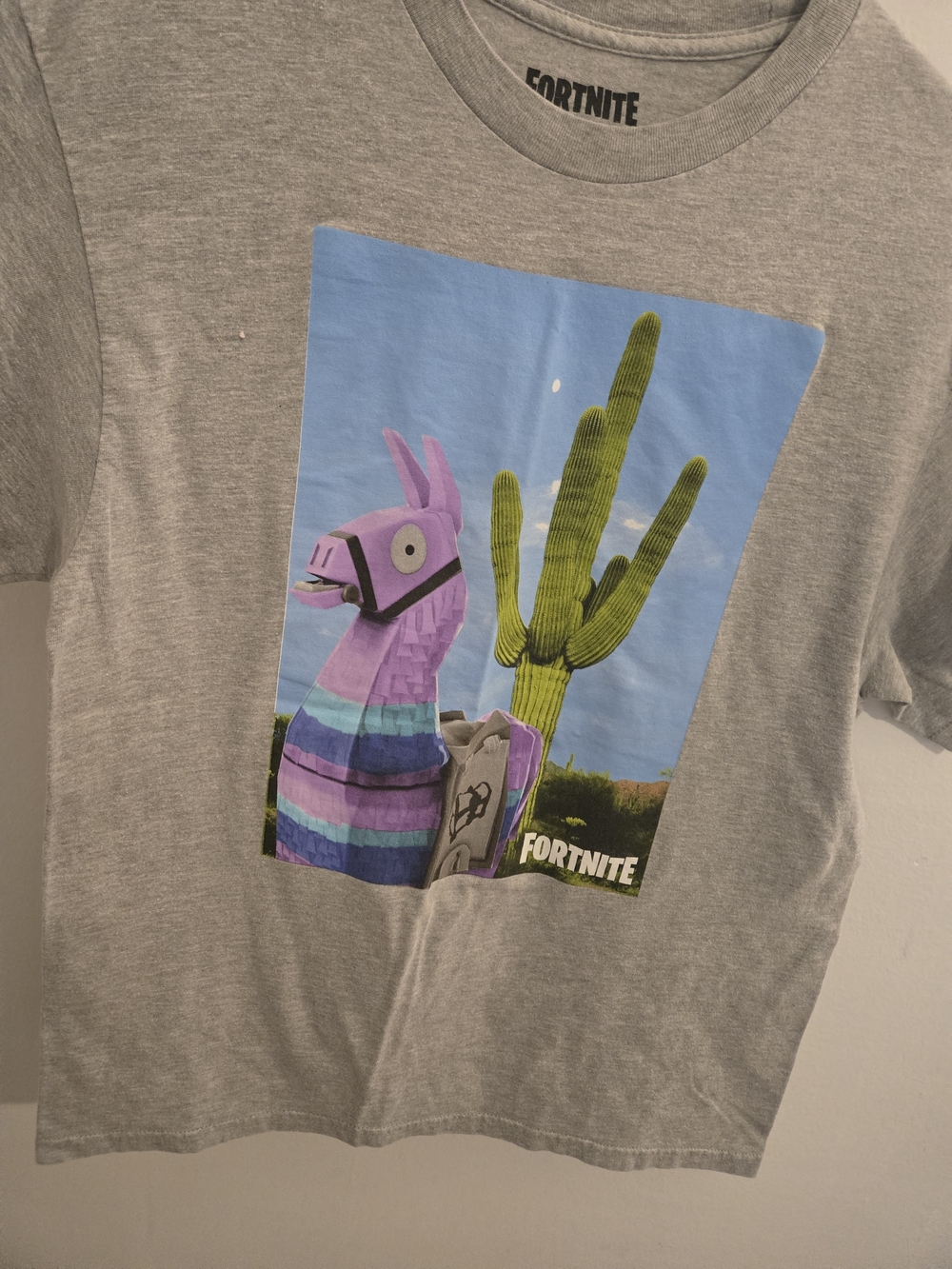 Fortnite Men's Short Sleeve Graphic Tee - Gray with Purple Llama